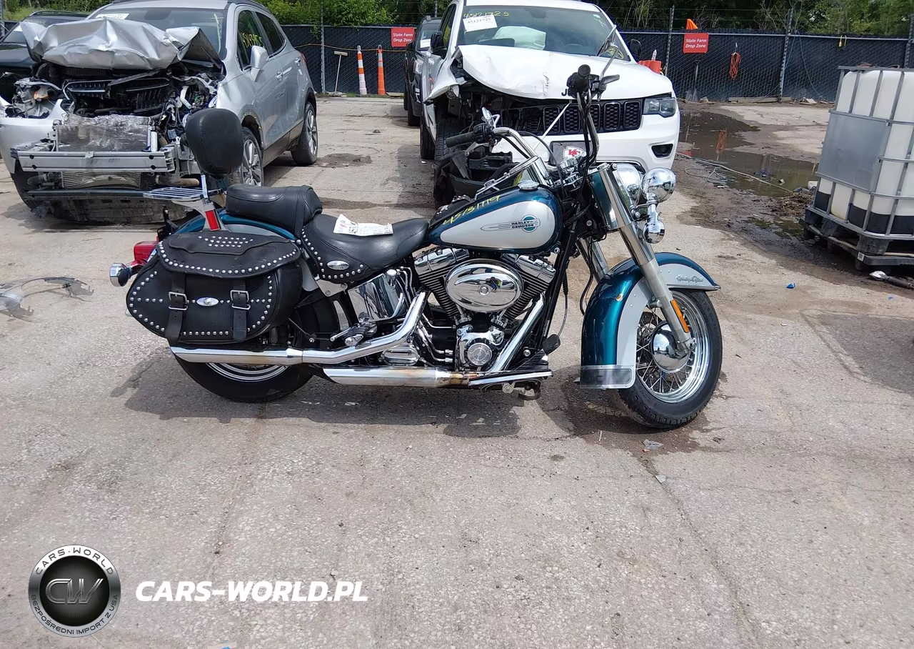 2004 Harley-Davidson Flstci VIN:1HD1BWB184Y056846 - 12