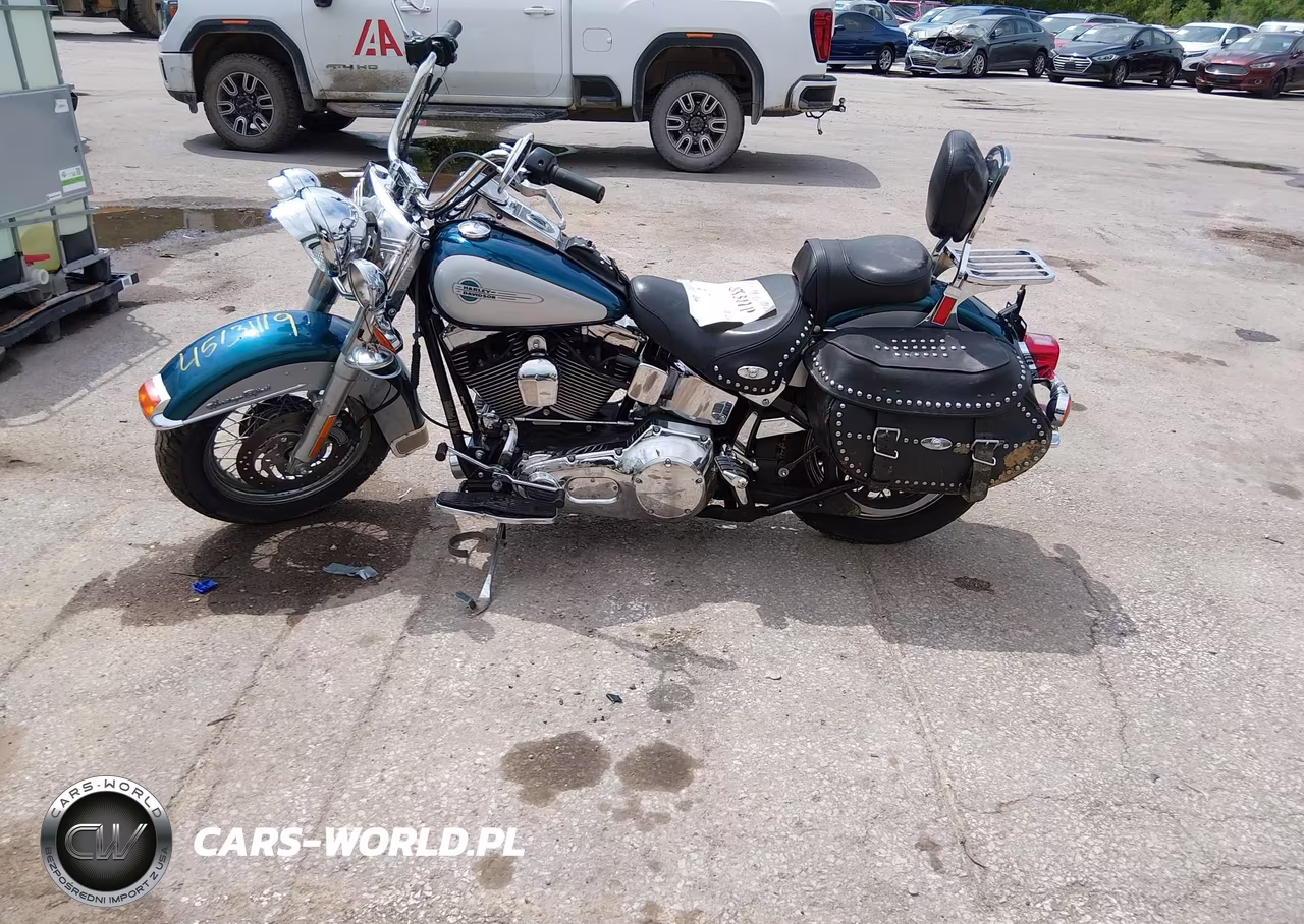 2004 Harley-Davidson Flstci VIN:1HD1BWB184Y056846 - 13