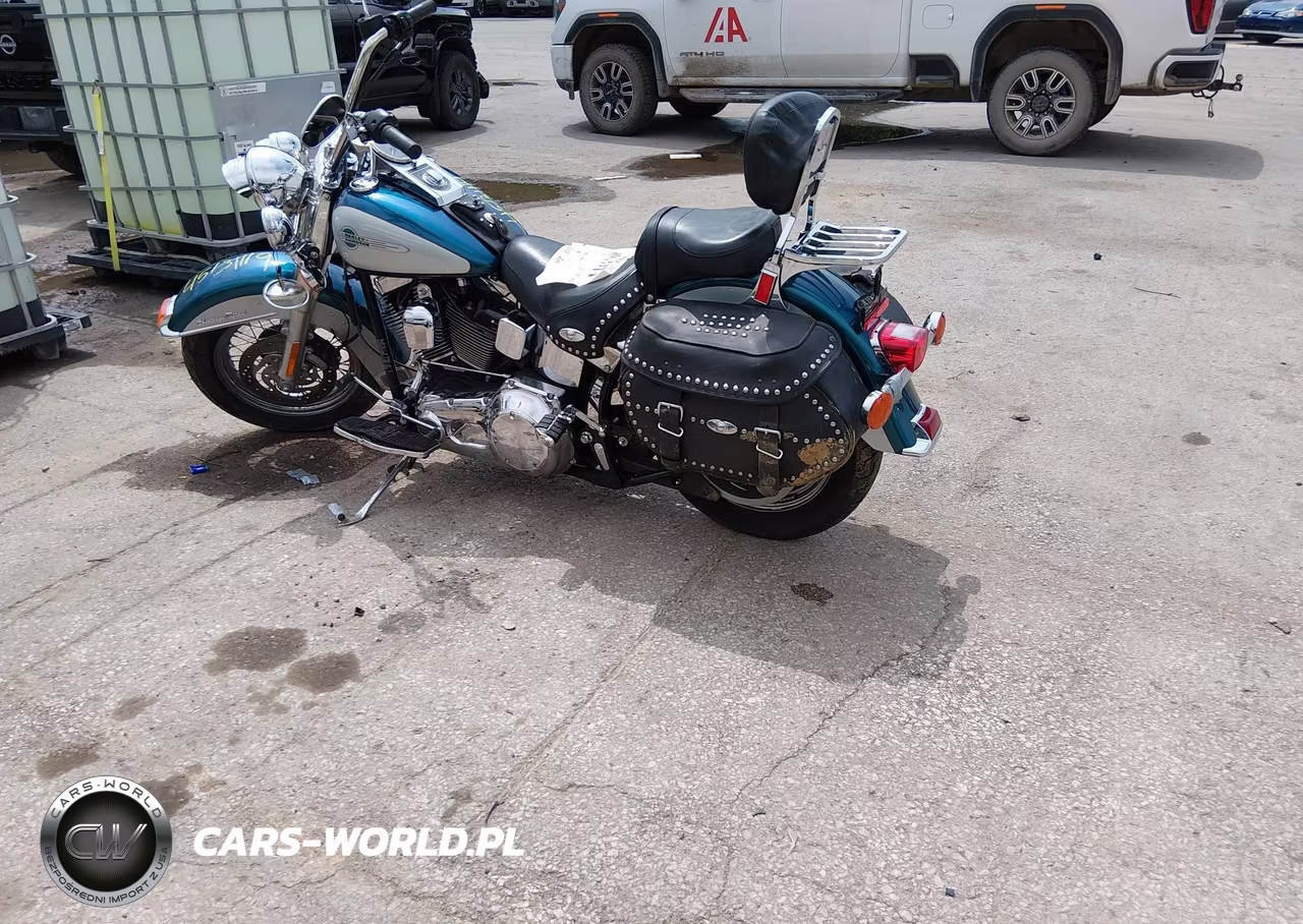2004 Harley-Davidson Flstci VIN:1HD1BWB184Y056846 - 3