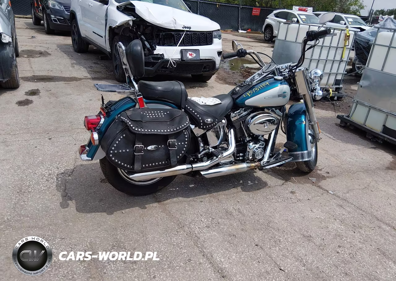 2004 Harley-Davidson Flstci VIN:1HD1BWB184Y056846 - 4