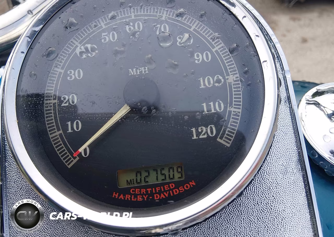 2004 Harley-Davidson Flstci VIN:1HD1BWB184Y056846 - 7