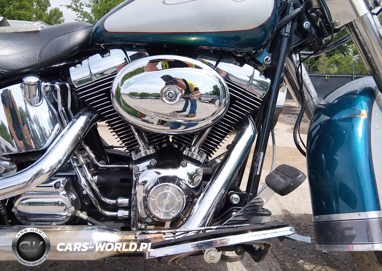 2004 Harley-Davidson Flstci VIN:1HD1BWB184Y056846 - 8