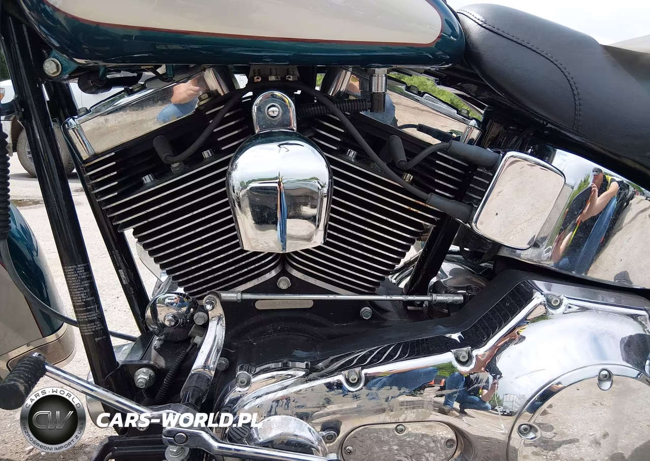 2004 Harley-Davidson Flstci VIN:1HD1BWB184Y056846 - 9