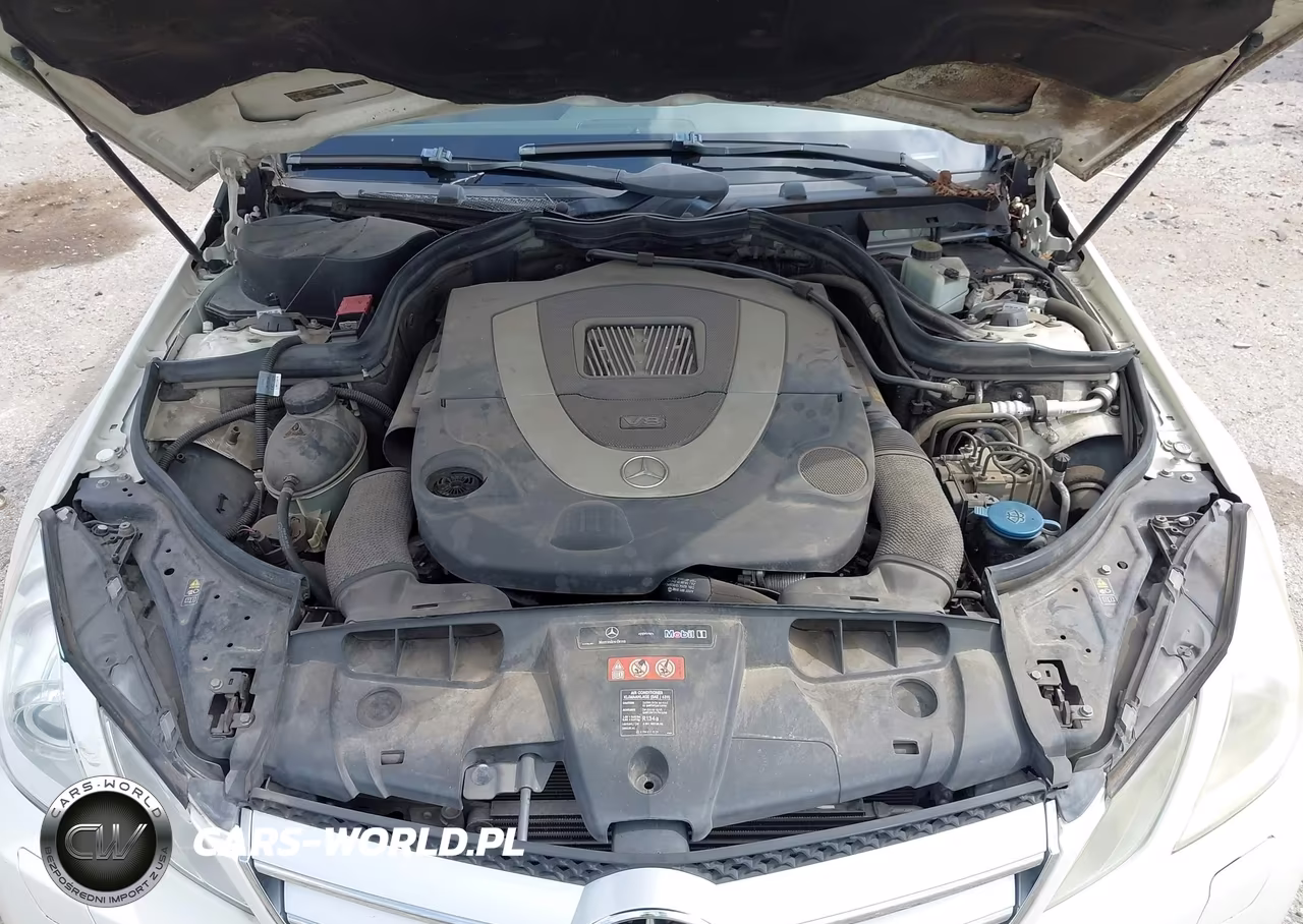2010 Mercedes-Benz E 550 VIN:WDDKJ7CB0AF010141 - 10