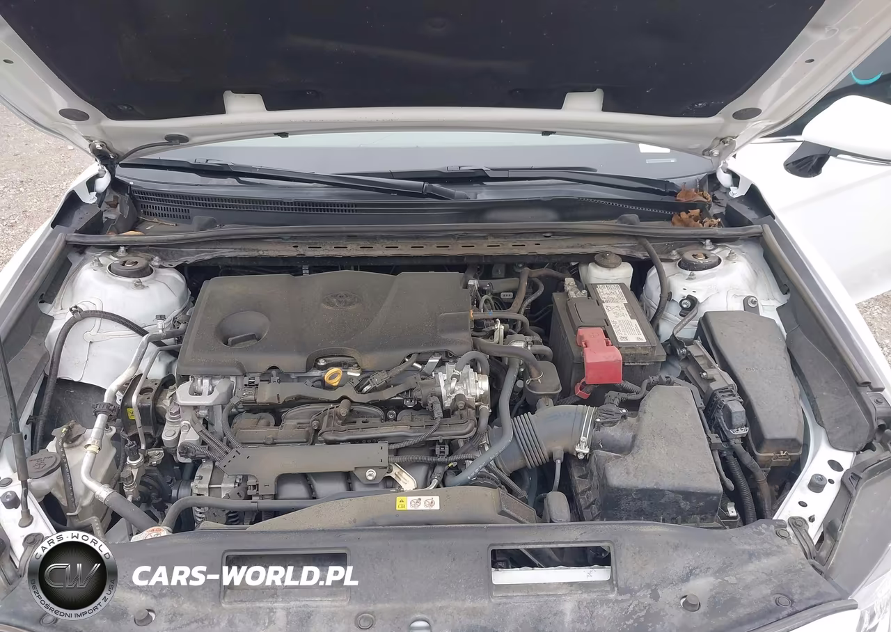 2021 Toyota Camry Se VIN:4T1S11AK1MU602458 - 10