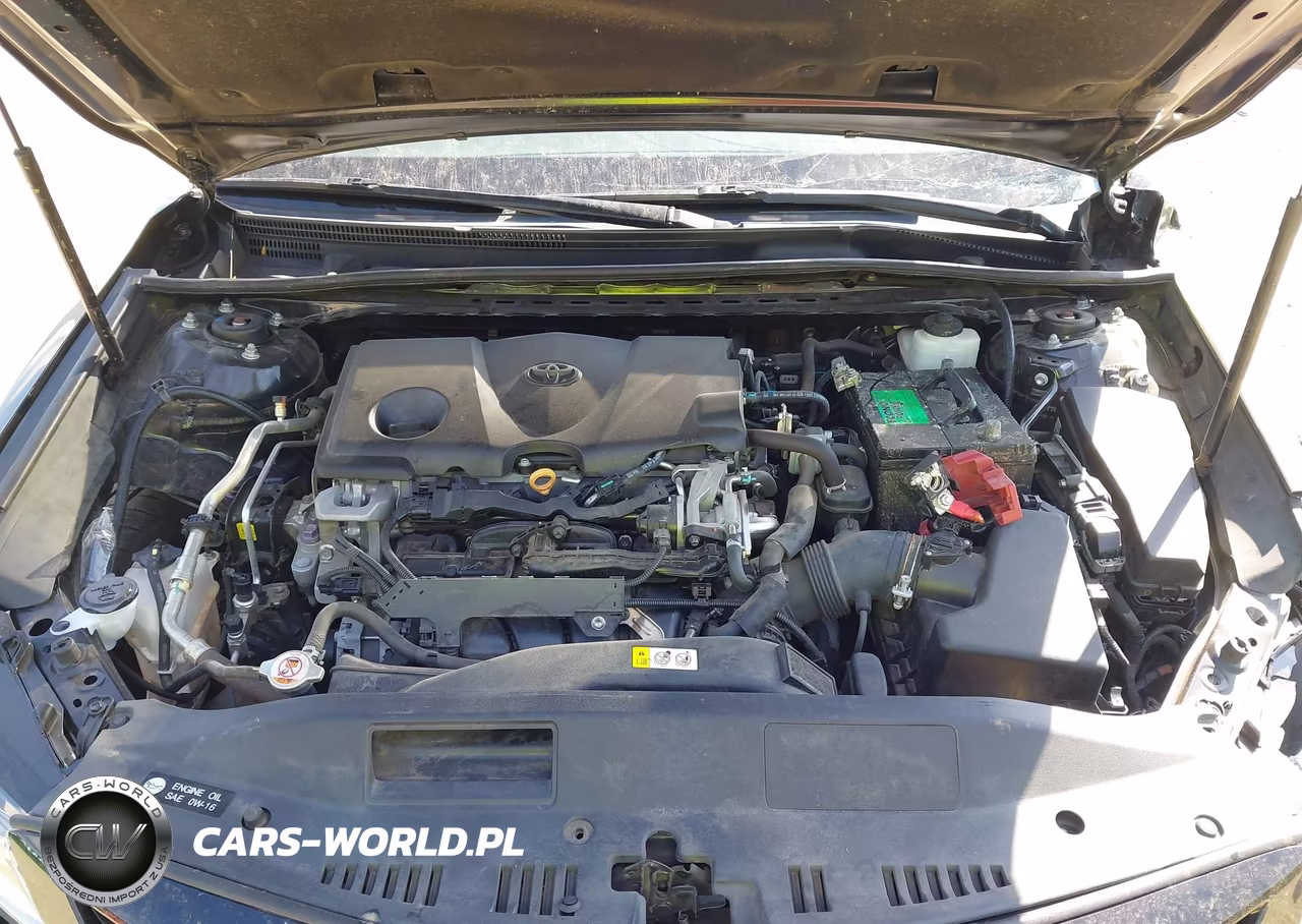 2019 Toyota Camry Se VIN:4T1B11HK5KU275713 - 10
