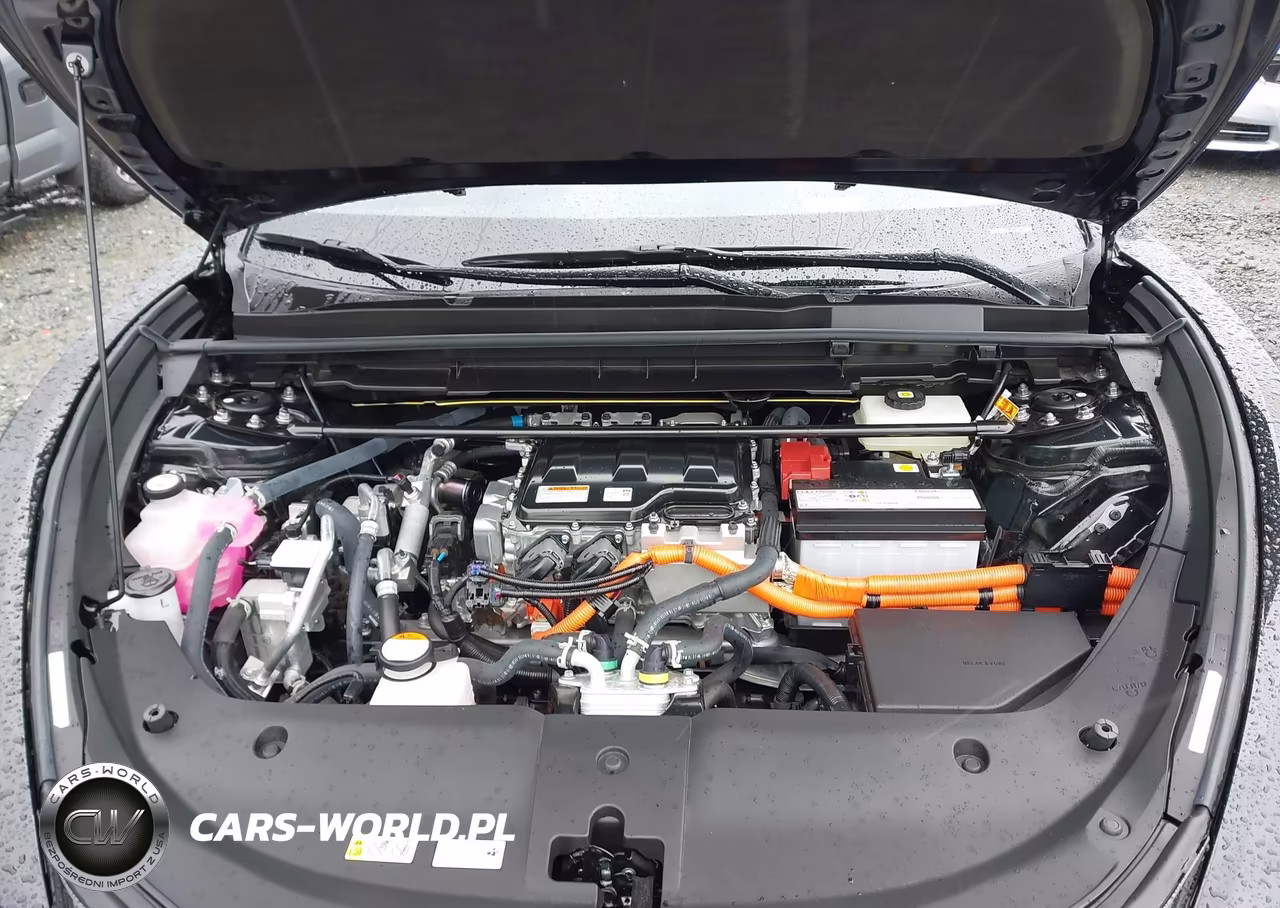2024 Lexus Rz 450E Premium VIN:JTJAAAAB0RA024844 - 10