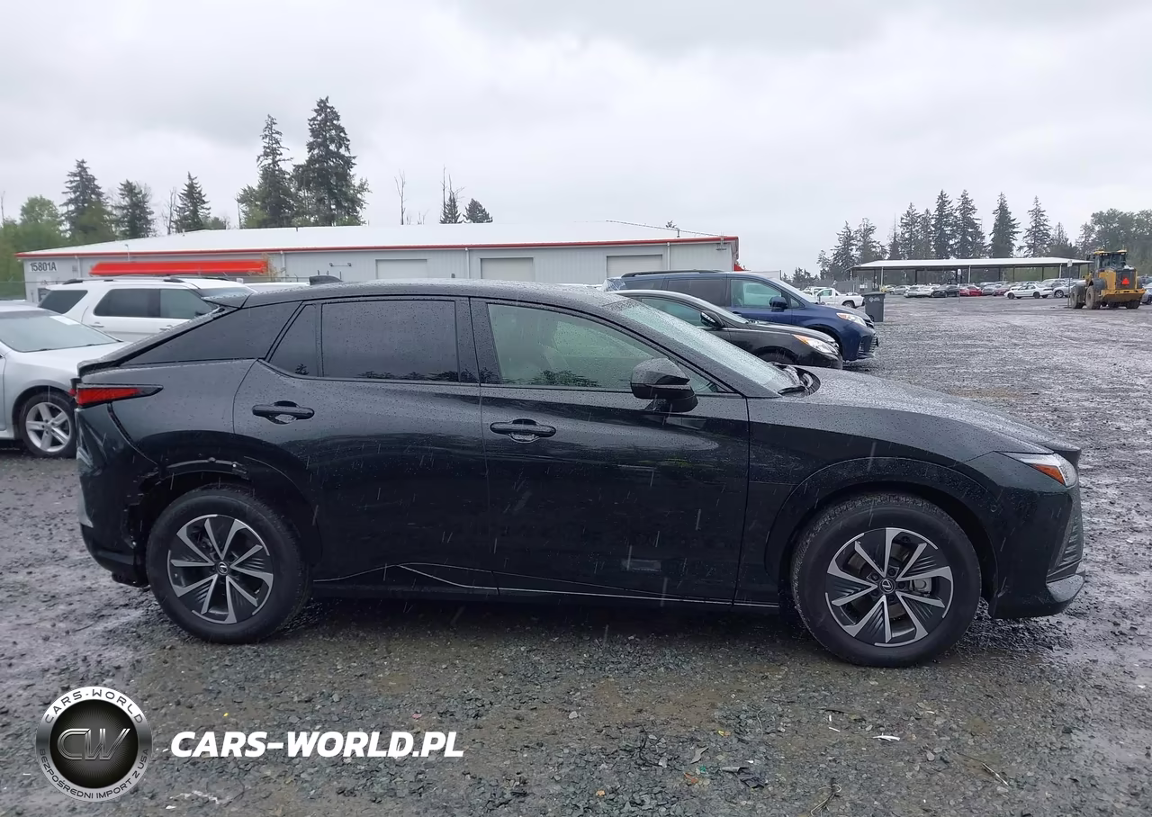 2024 Lexus Rz 450E Premium VIN:JTJAAAAB0RA024844 - 13