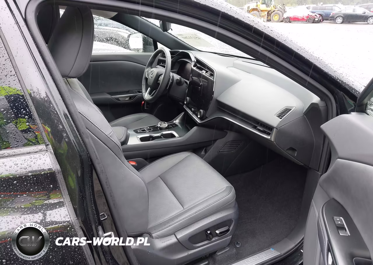 2024 Lexus Rz 450E Premium VIN:JTJAAAAB0RA024844 - 19
