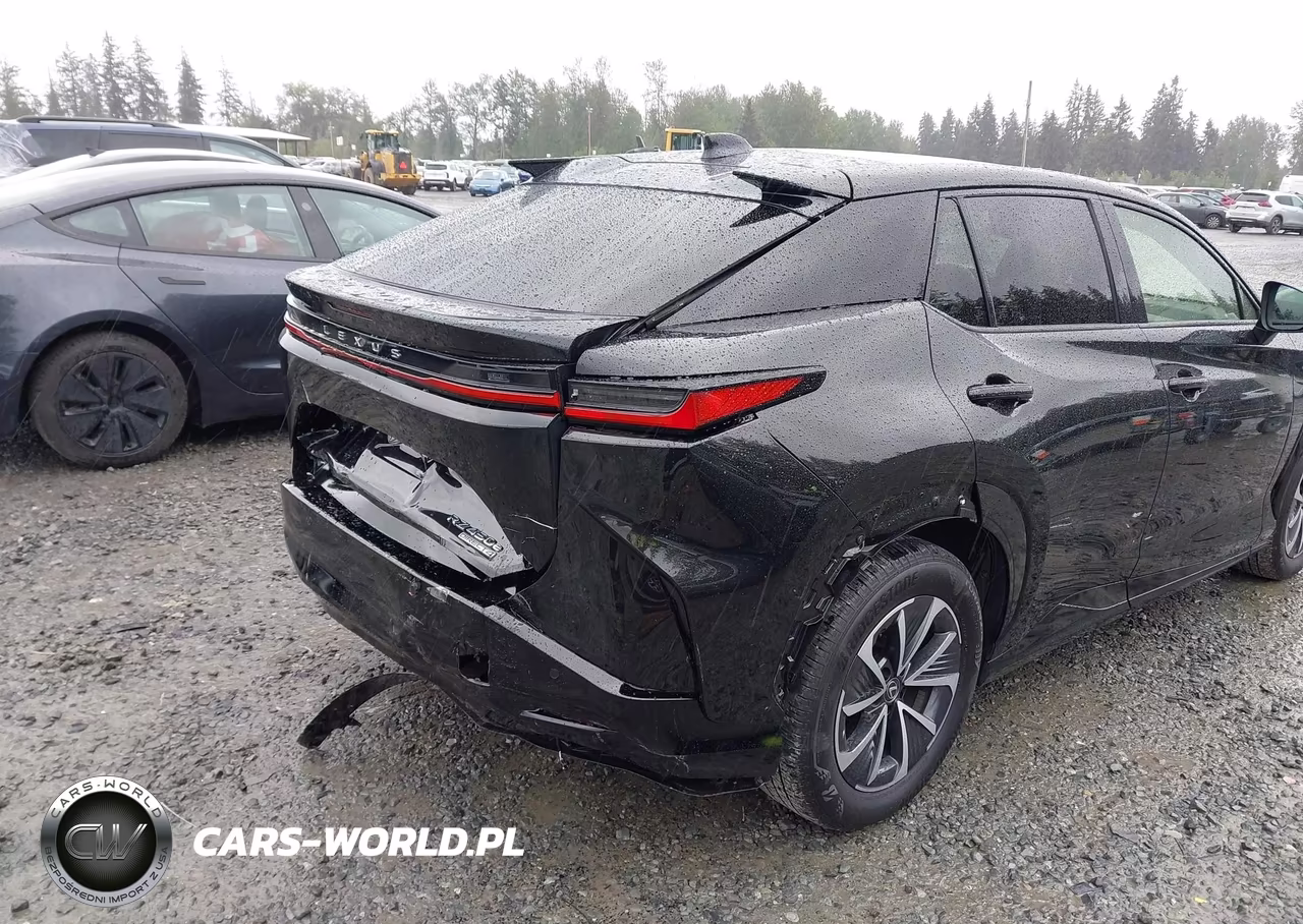 2024 Lexus Rz 450E Premium VIN:JTJAAAAB0RA024844 - 6