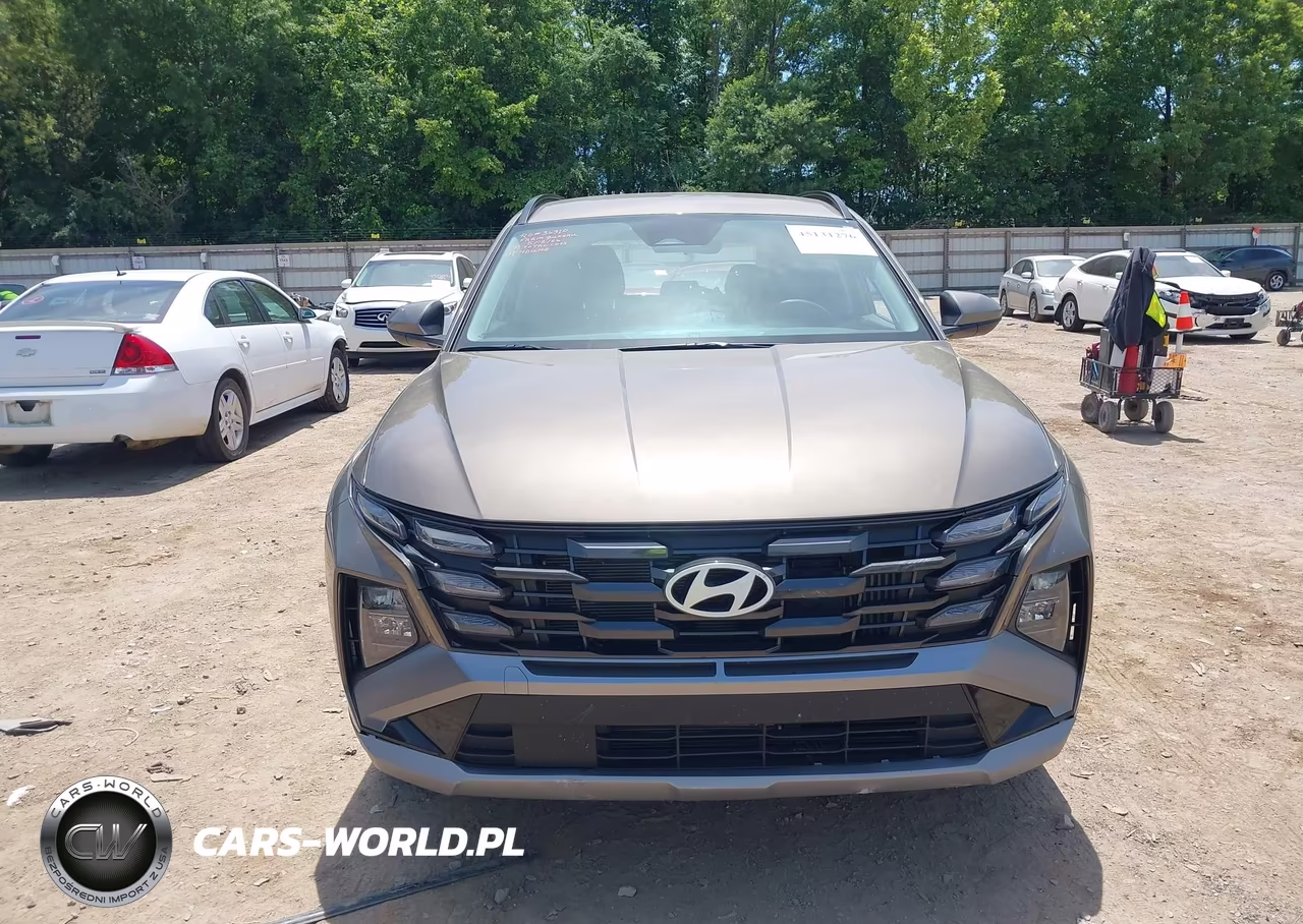 2025 Hyundai Tucson Hybrid Blue VIN:KM8JBDD18SU393472 - 12