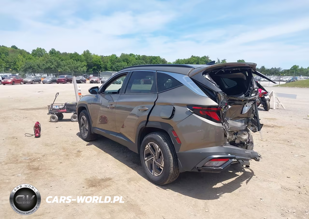 2025 Hyundai Tucson Hybrid Blue VIN:KM8JBDD18SU393472 - 3