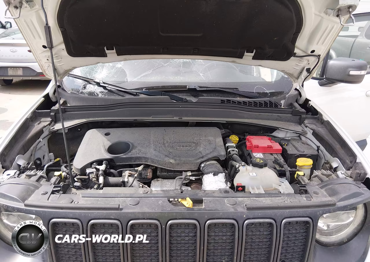 2019 Jeep Renegade Trailhawk 4X4 VIN:ZACNJBC12KPJ88369 - 10