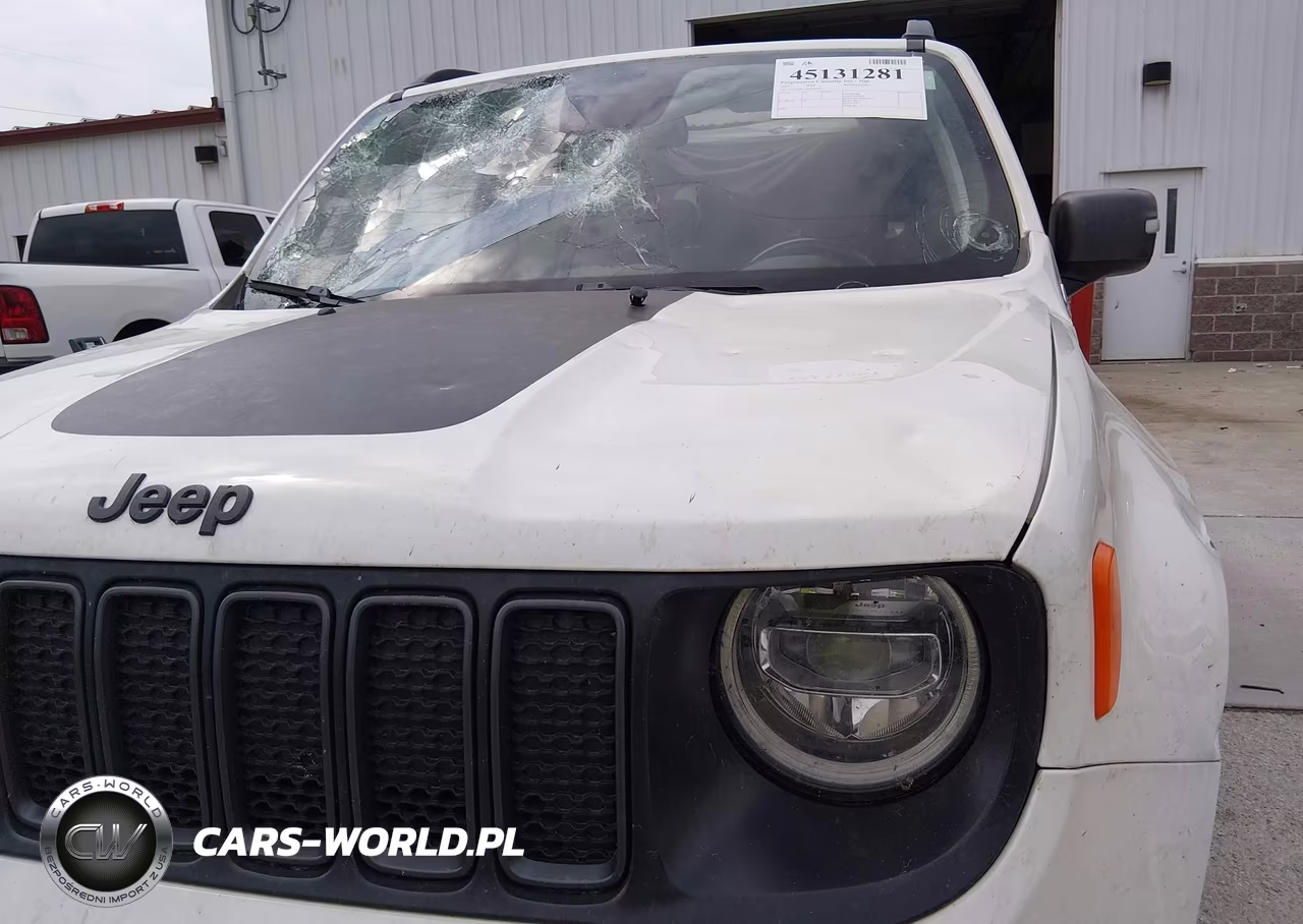 2019 Jeep Renegade Trailhawk 4X4 VIN:ZACNJBC12KPJ88369 - 6