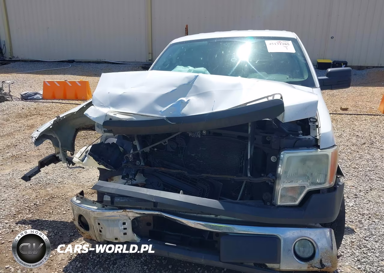 2014 Ford F-150 Xl VIN:1FTEW1CM8EKE26300 - 12