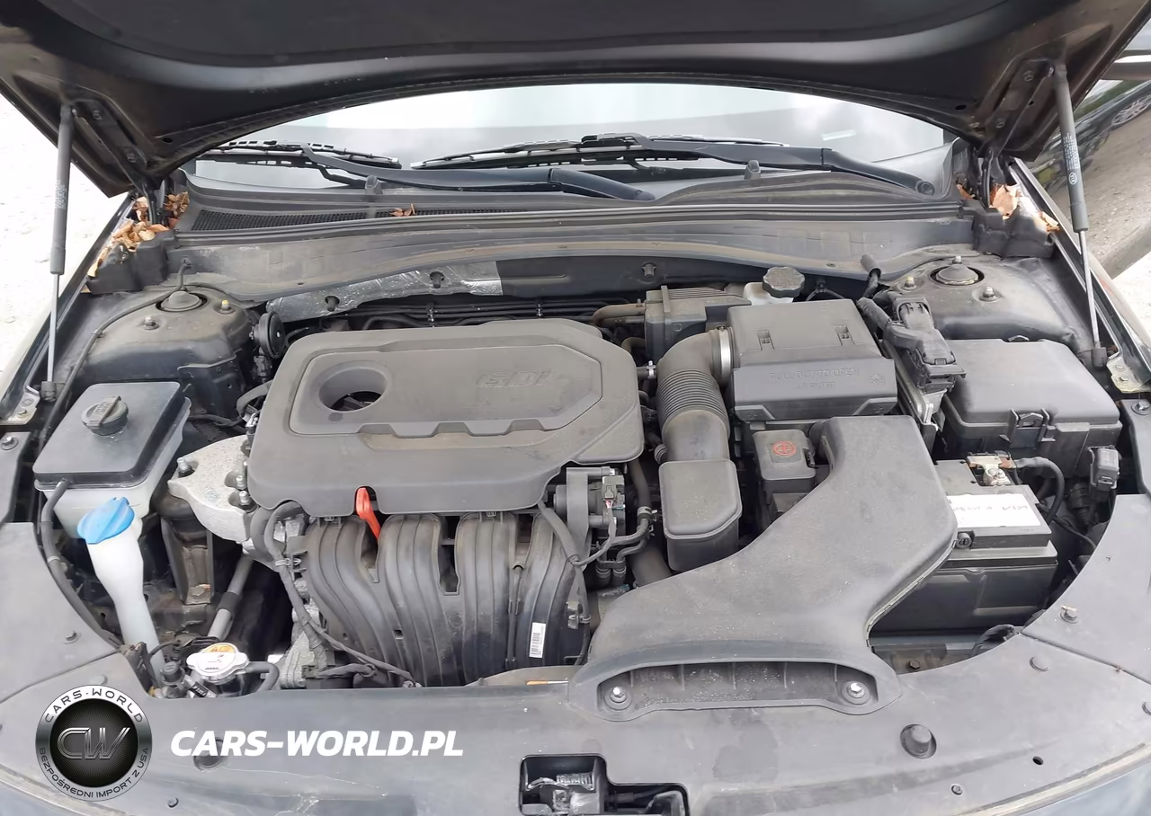 2018 Kia Optima Lx VIN:5XXGT4L3XJG182826 - 10