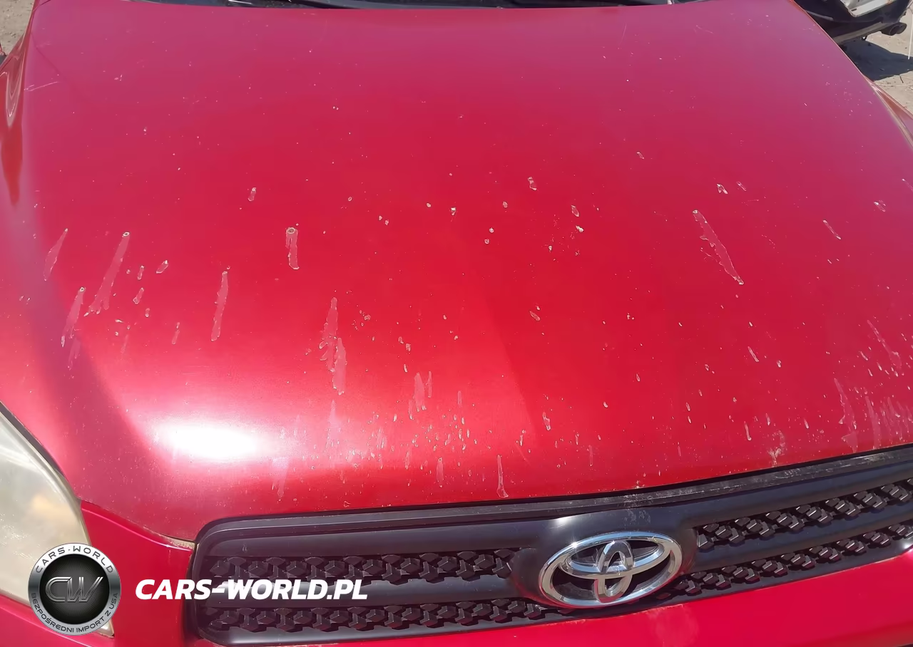 2008 Toyota Rav4 VIN:JTMBD33V085188569 - 6