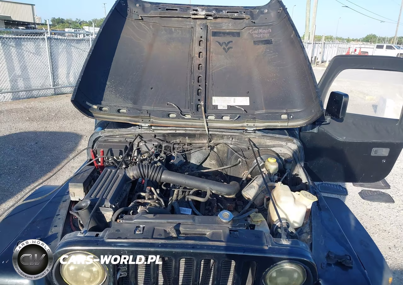 1997 Jeep Wrangler Sport VIN:1J4FY19S5VP430984 - 10