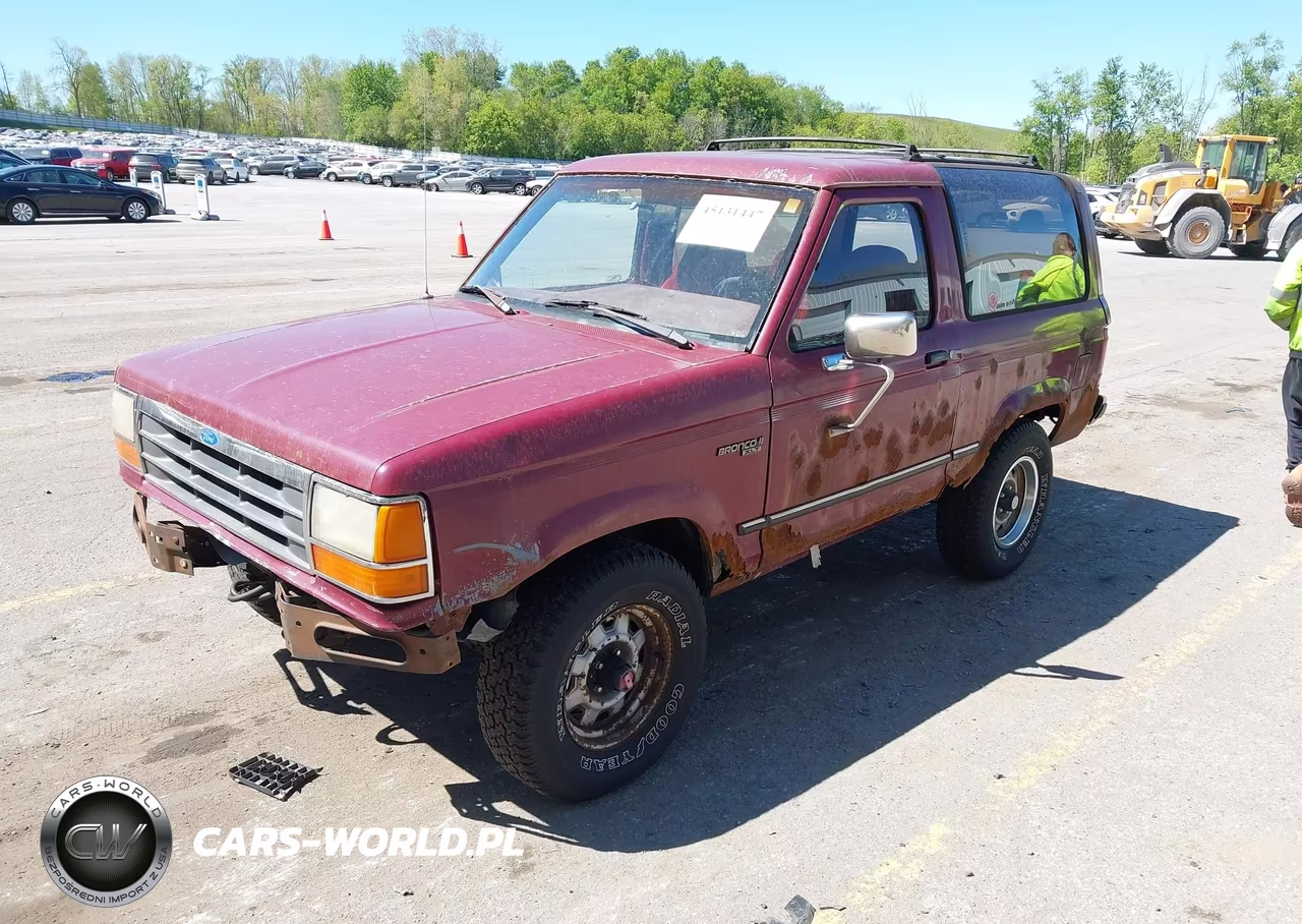 1989 Ford Bronco Ii VIN:1FMBU14T9KUA01081 - 2