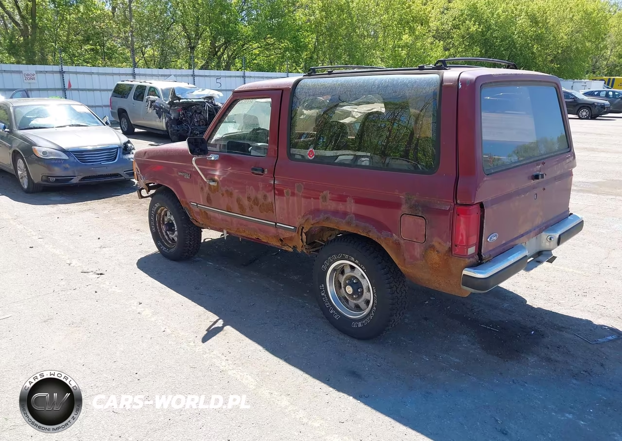 1989 Ford Bronco Ii VIN:1FMBU14T9KUA01081 - 3