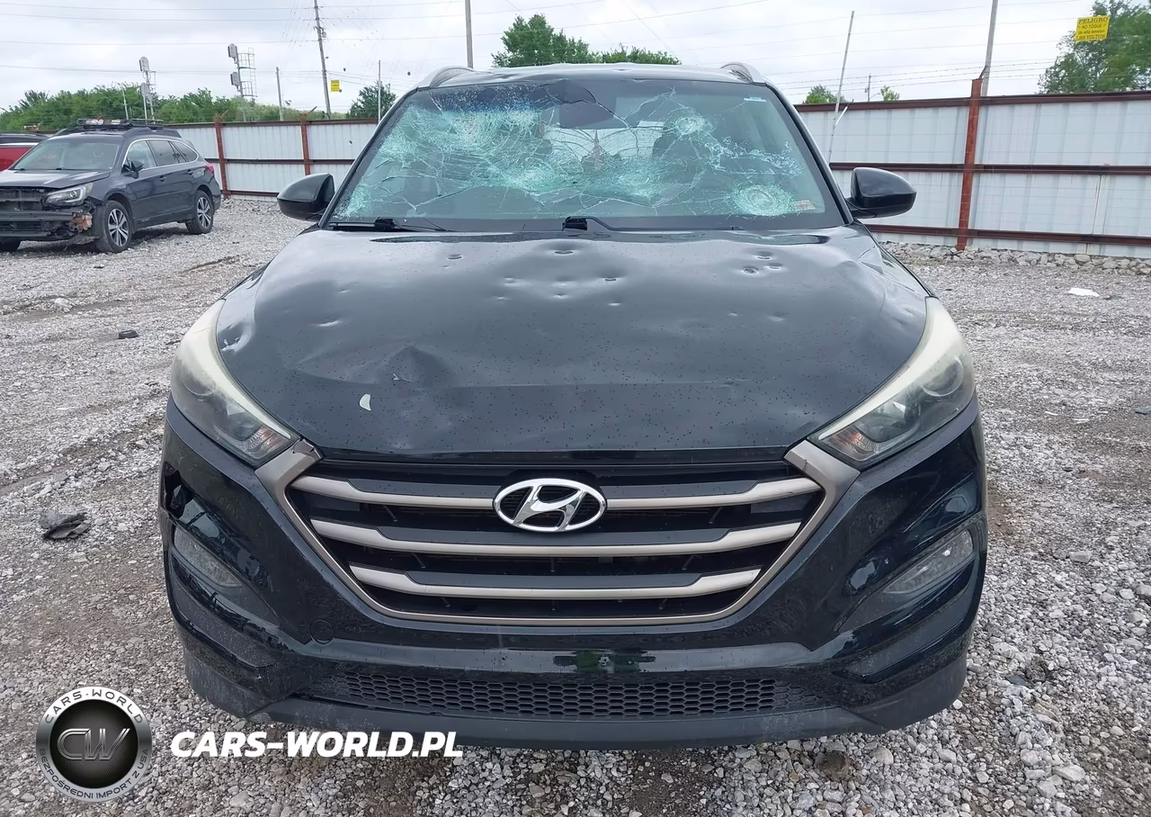 2016 Hyundai Tucson Se VIN:KM8J3CA40GU156875 - 12