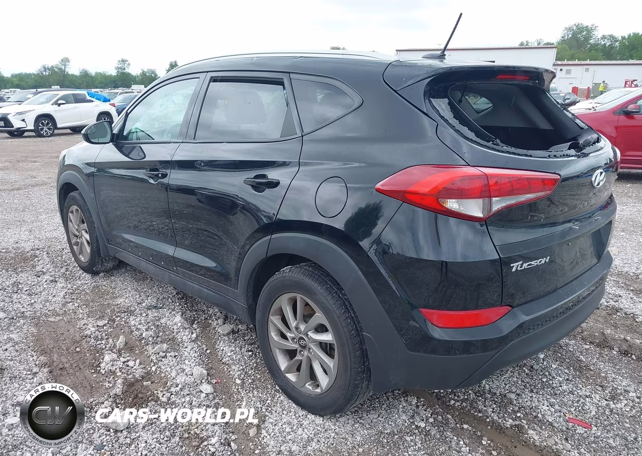 2016 Hyundai Tucson Se VIN:KM8J3CA40GU156875 - 3