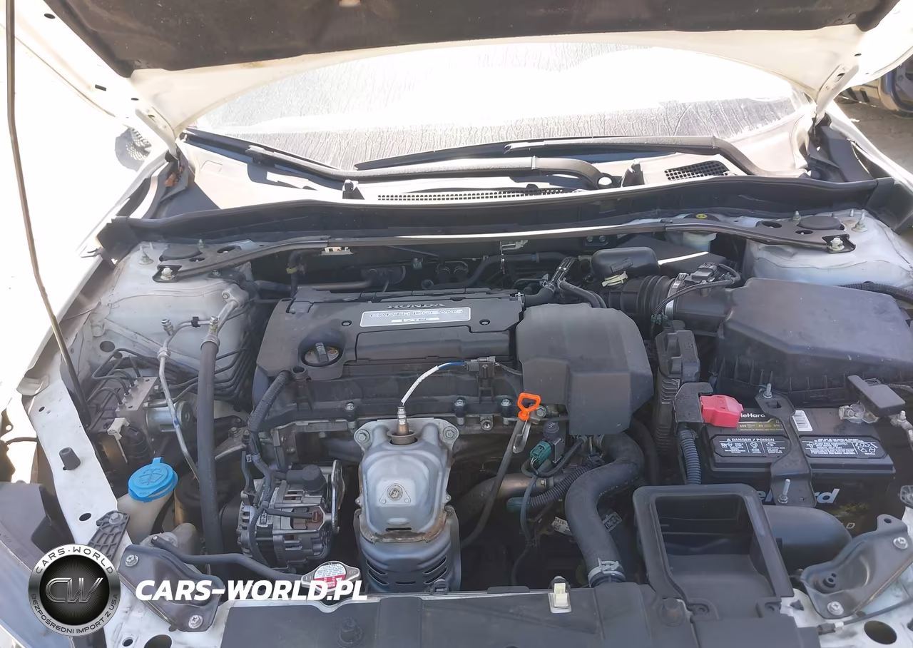 2013 Honda Accord Ex-L VIN:1HGCT1B84DA014787 - 10