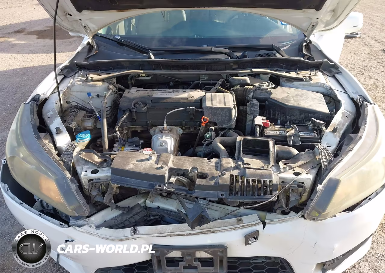 2015 Honda Accord Ex-L VIN:1HGCR2F84FA125521 - 10