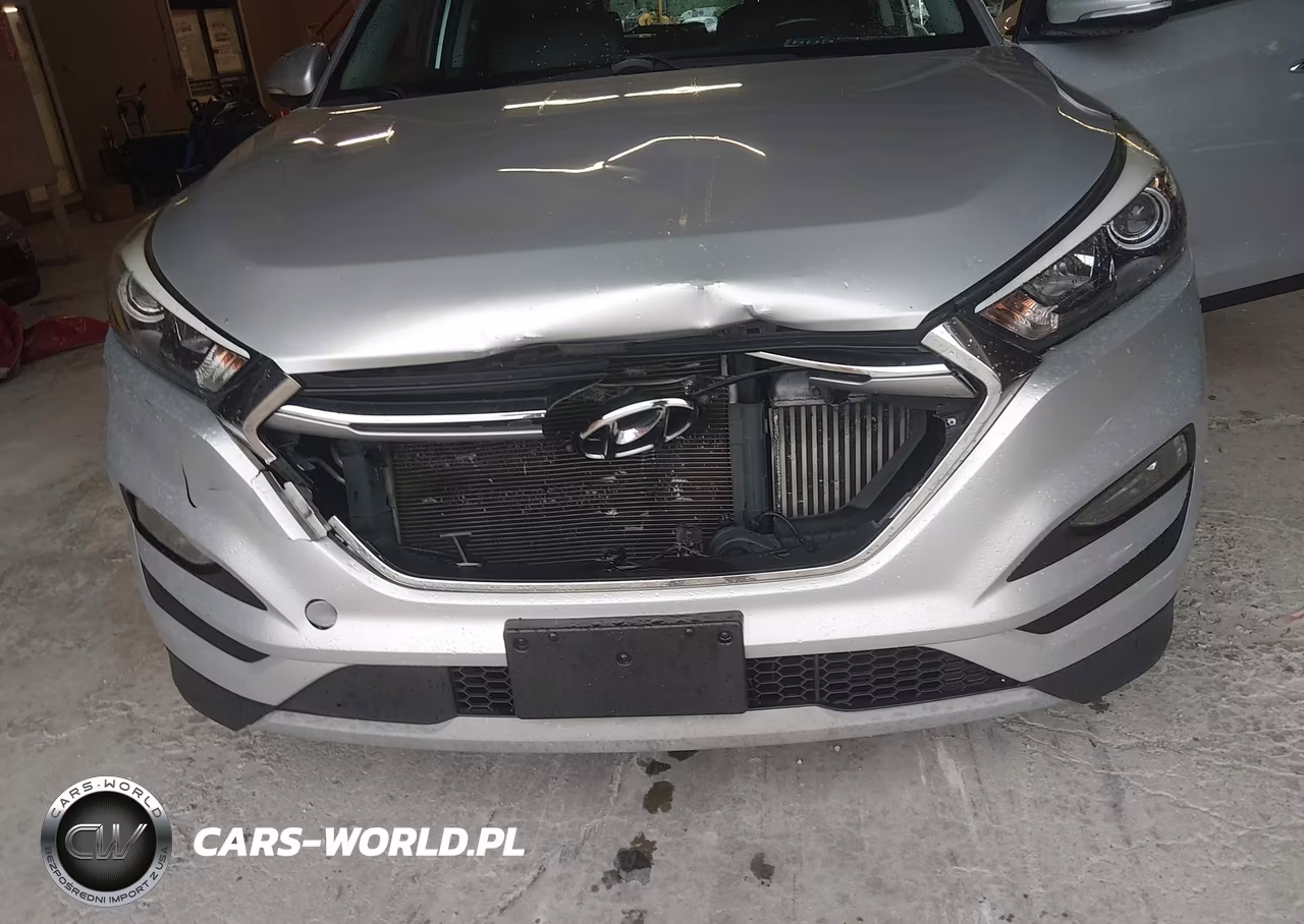2017 Hyundai Tucson Limited VIN:KM8J33A23HU326386 - 17