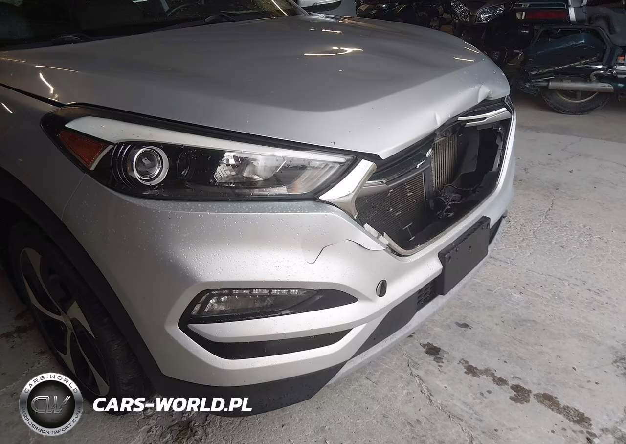 2017 Hyundai Tucson Limited VIN:KM8J33A23HU326386 - 6