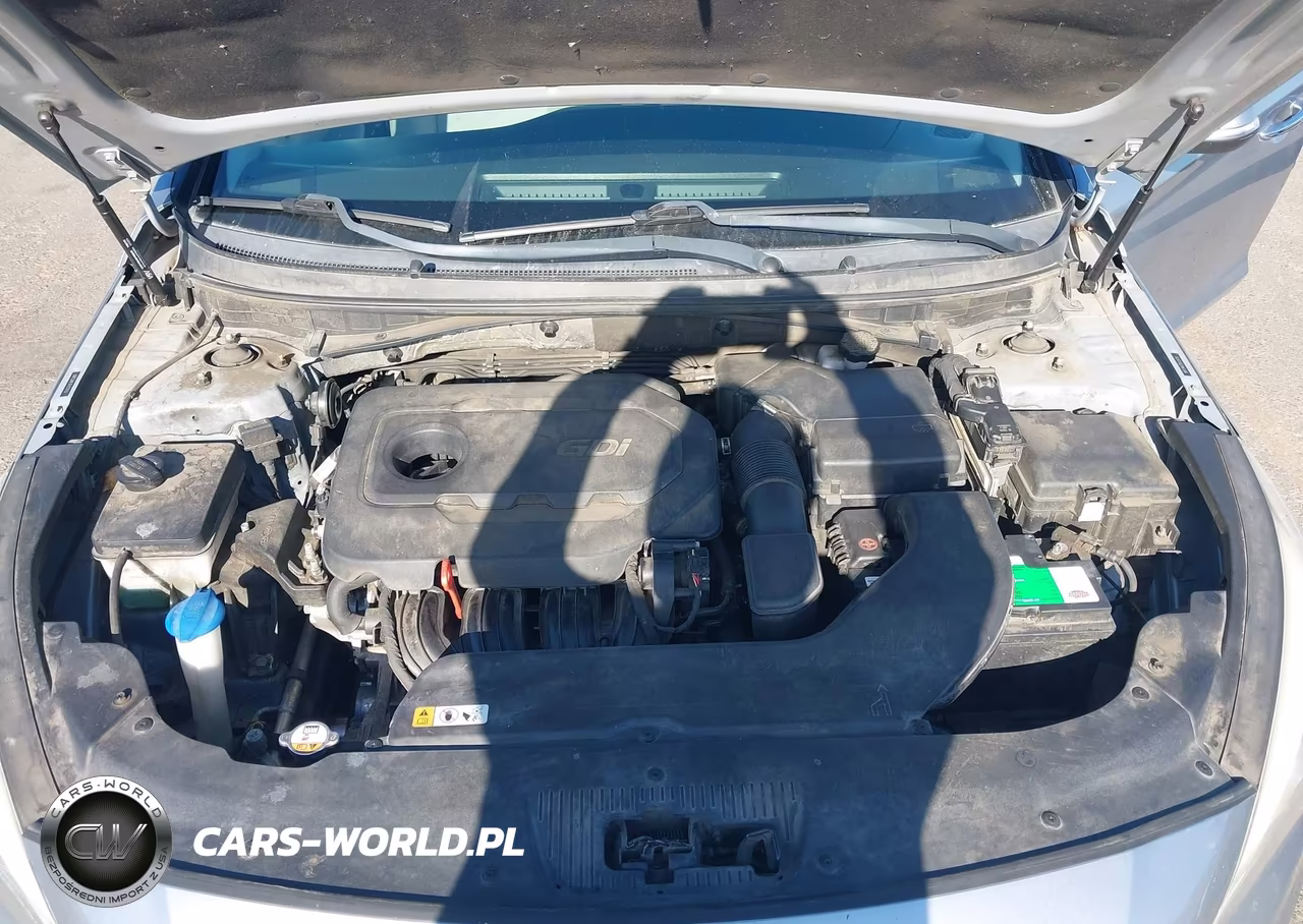 2015 Hyundai Sonata Sport VIN:5NPE34AF3FH231753 - 10