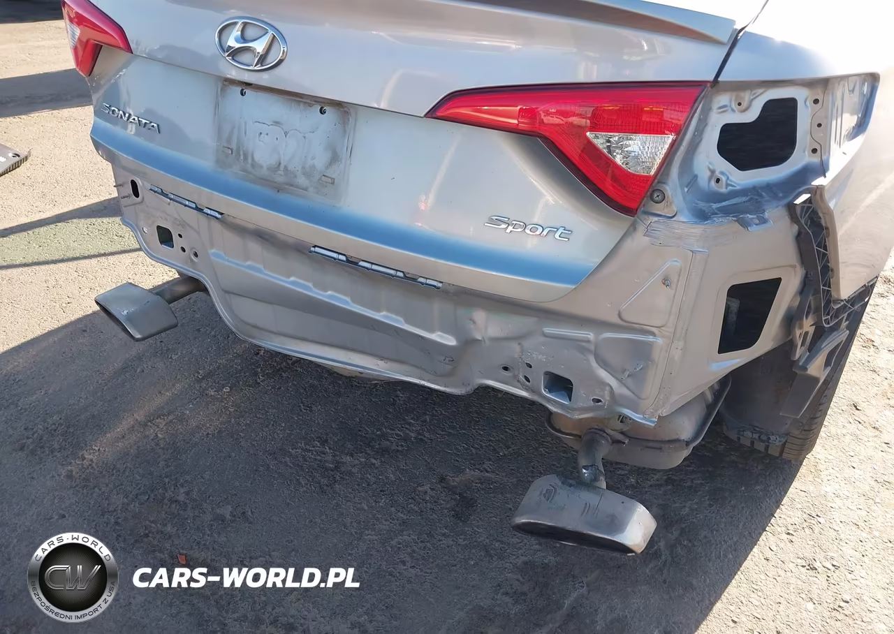 2015 Hyundai Sonata Sport VIN:5NPE34AF3FH231753 - 6