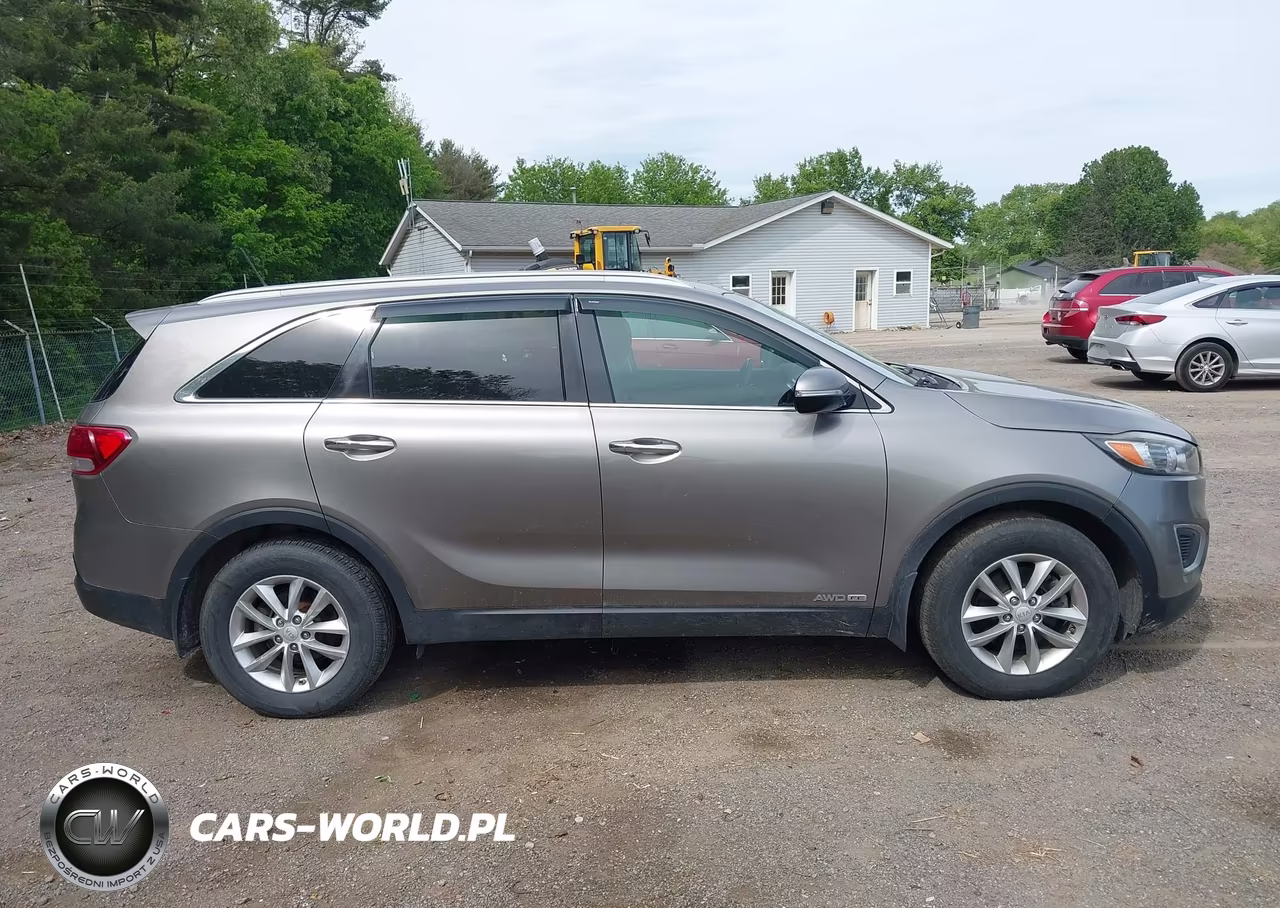 2016 Kia Sorento 3.3L Lx VIN:5XYPGDA58GG130690 - 13