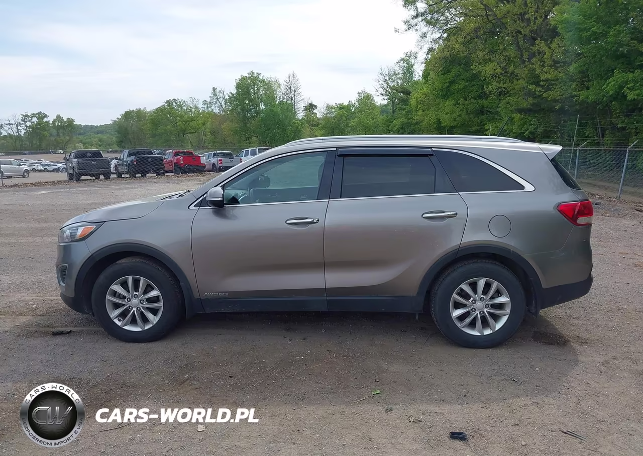 2016 Kia Sorento 3.3L Lx VIN:5XYPGDA58GG130690 - 14