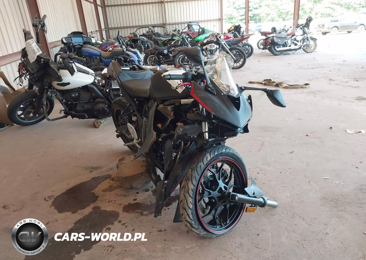 2017 Yamaha Yzfr3