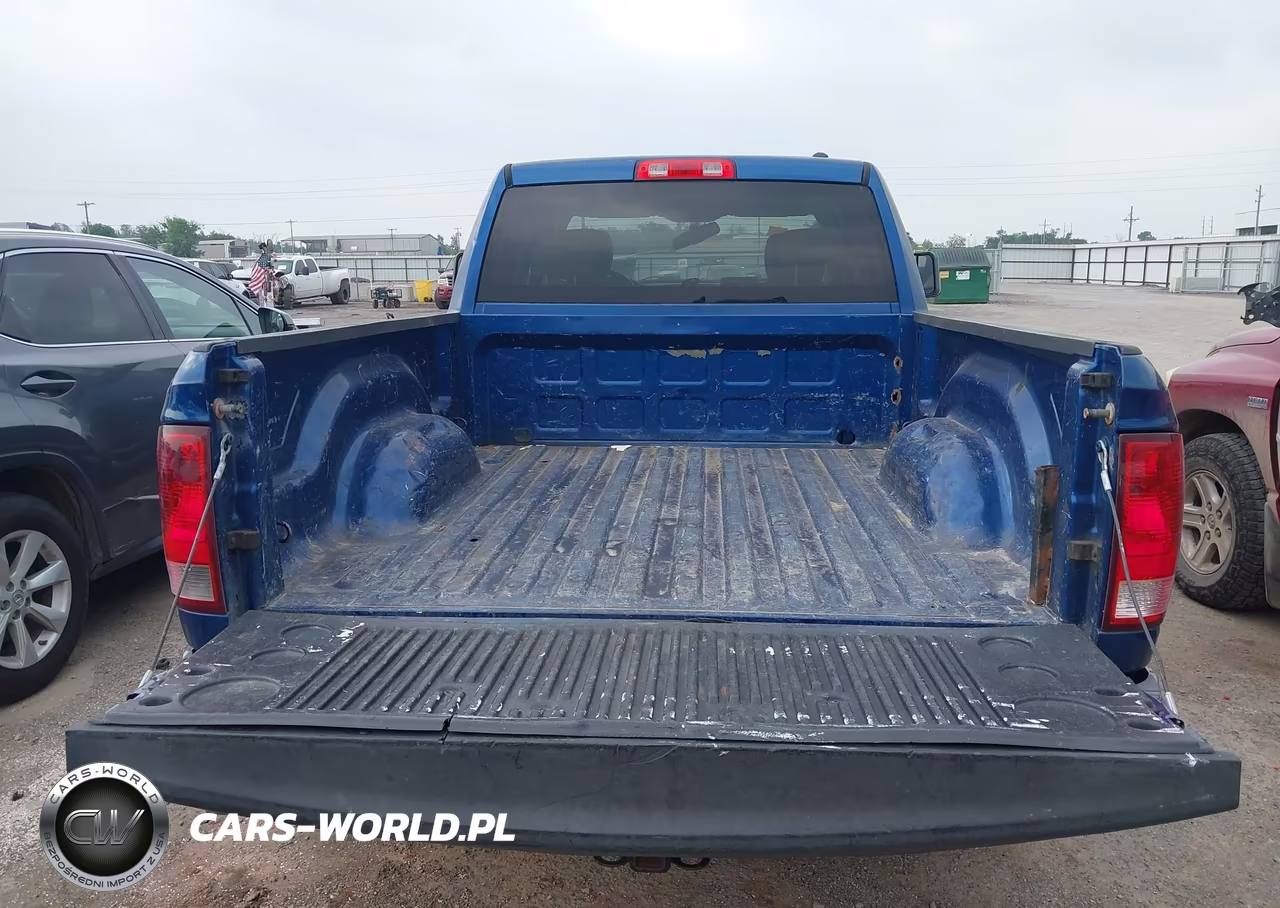 2010 Dodge Ram 1500 Slt-Sport-Trx VIN:1D7RV1GP5AS125444 - 16