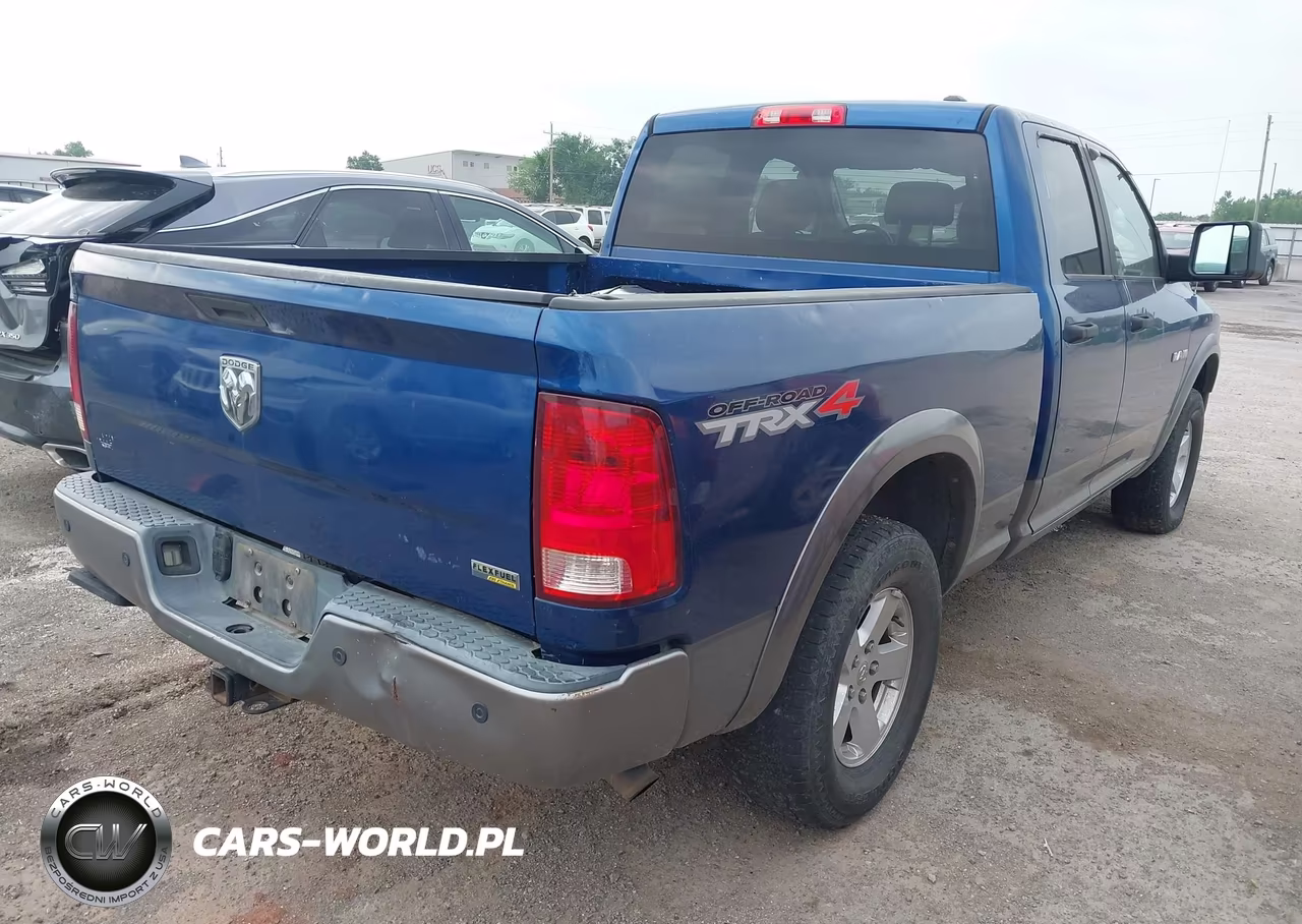 2010 Dodge Ram 1500 Slt-Sport-Trx VIN:1D7RV1GP5AS125444 - 4