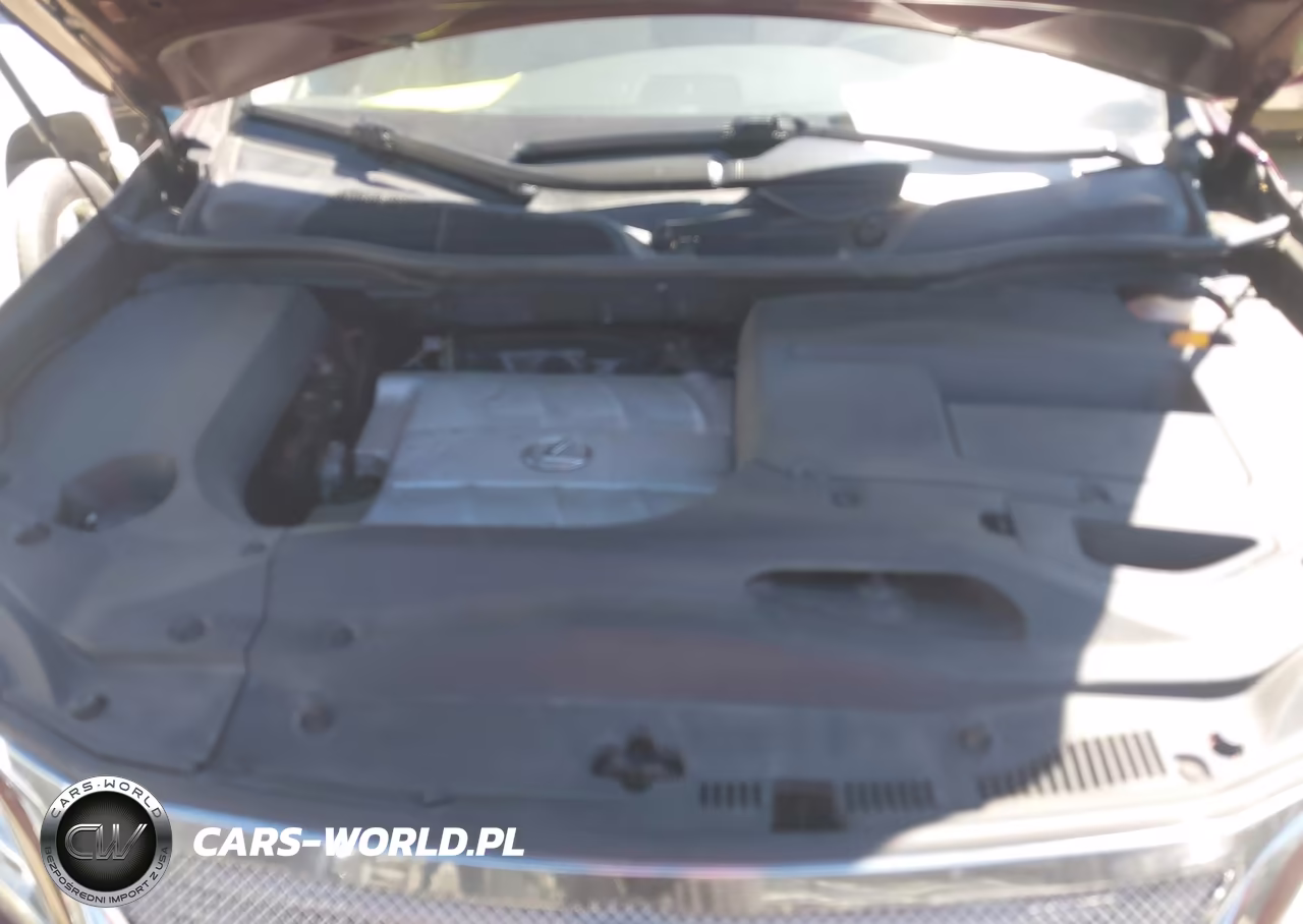 2013 Lexus Rx 350 VIN:JTJZK1BA6D2009693 - 10