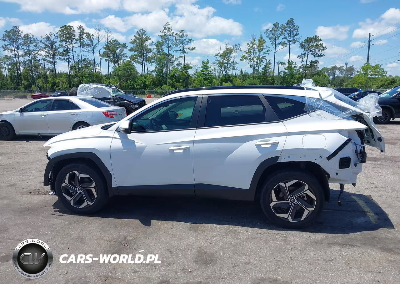 2024 Hyundai Tucson Hybrid Sel Convenience VIN:KM8JCCD11RU161653 - 15