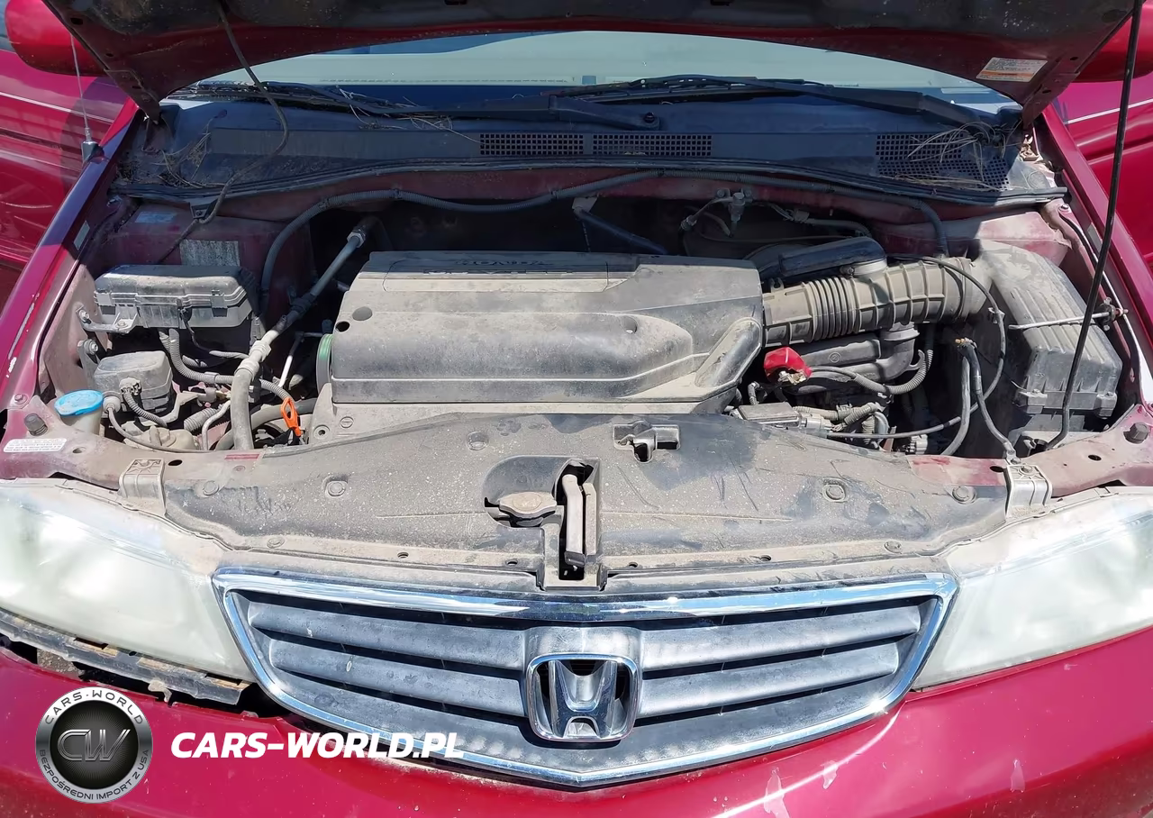 2004 Honda Odyssey Ex VIN:5FNRL18634B146140 - 10