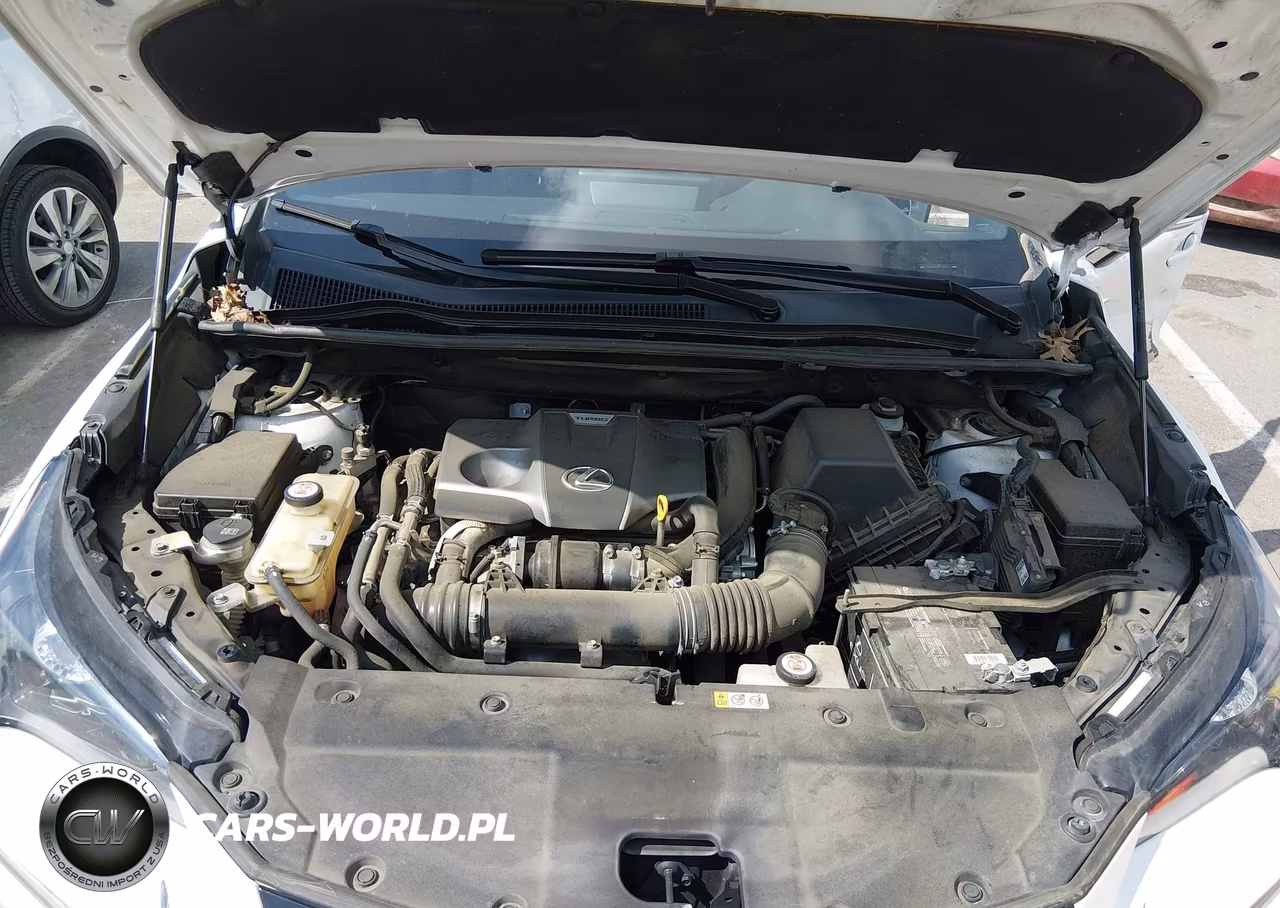 2020 Lexus Nx 300 VIN:JTJGARBZ8L2168115 - 10