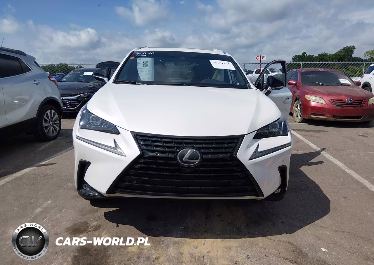 2020 Lexus Nx 300 VIN:JTJGARBZ8L2168115 - 12