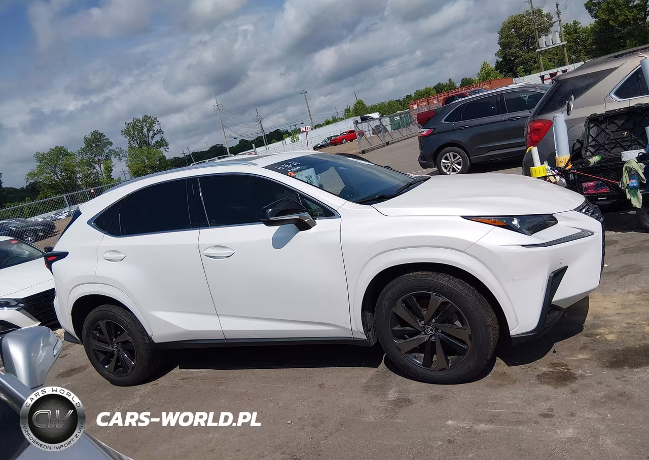 2020 Lexus Nx 300 VIN:JTJGARBZ8L2168115 - 13