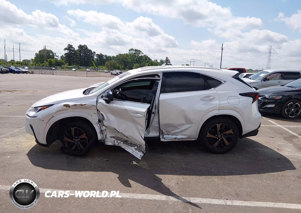 2020 Lexus Nx 300 VIN:JTJGARBZ8L2168115 - 14