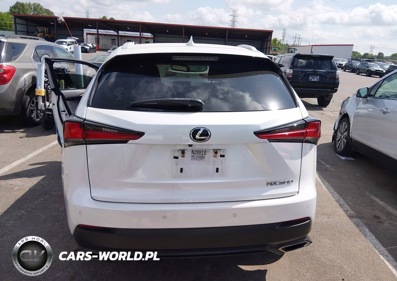 2020 Lexus Nx 300 VIN:JTJGARBZ8L2168115 - 16