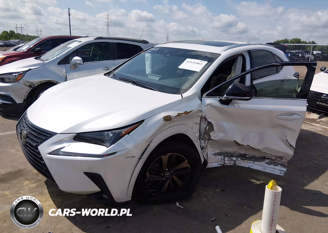 2020 Lexus Nx 300 VIN:JTJGARBZ8L2168115 - 2