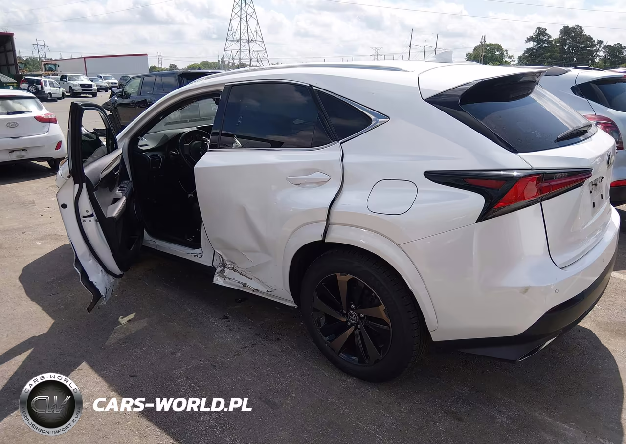 2020 Lexus Nx 300 VIN:JTJGARBZ8L2168115 - 3