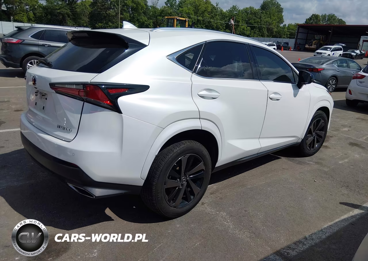 2020 Lexus Nx 300 VIN:JTJGARBZ8L2168115 - 4