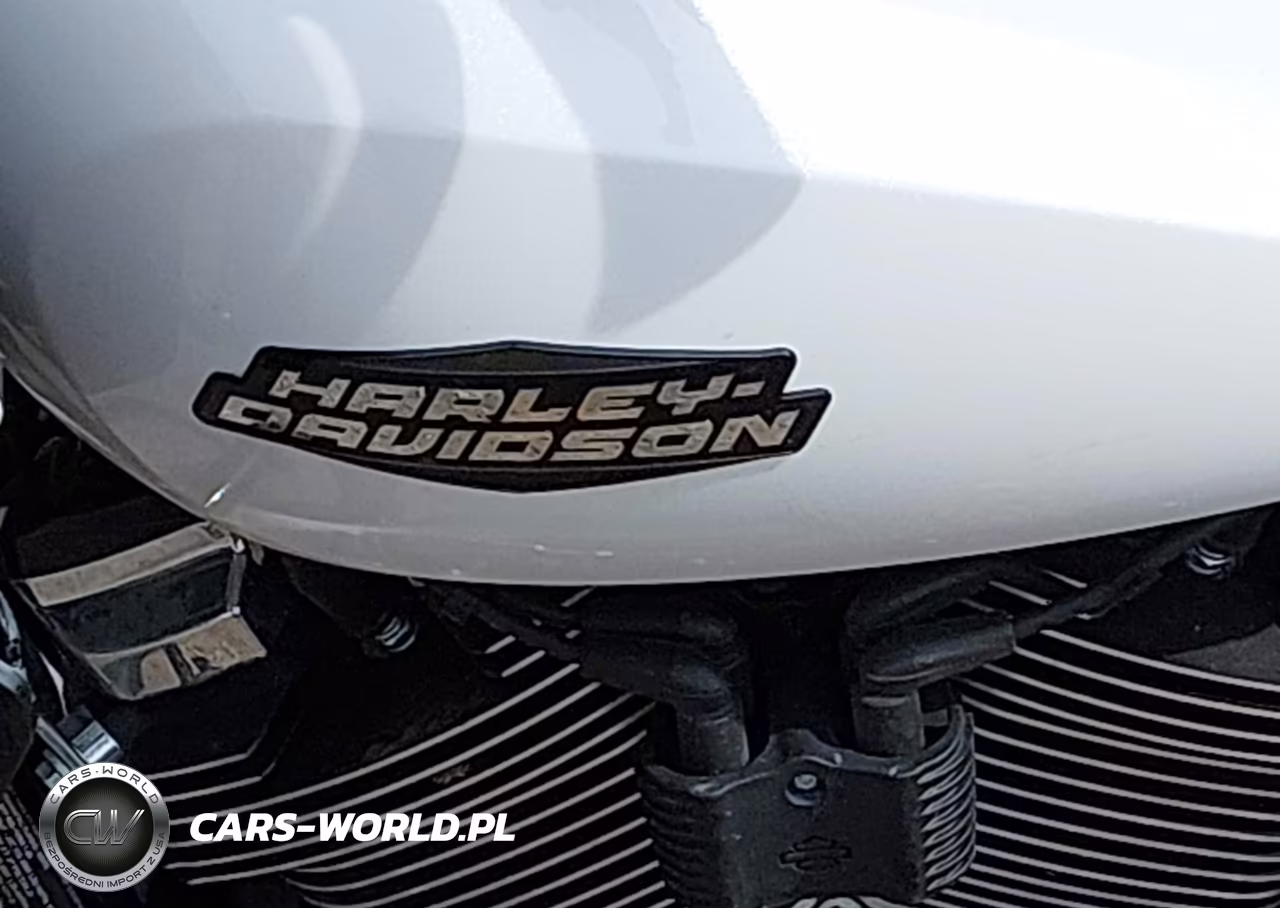 2025 Harley-Davidson Fltrx VIN:1HD1KH714SB642951 - 16