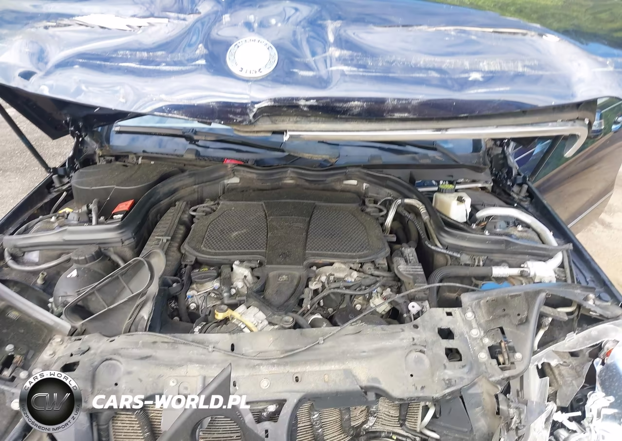 2013 Mercedes-Benz E 350 VIN:WDDKJ5KB6DF198903 - 10
